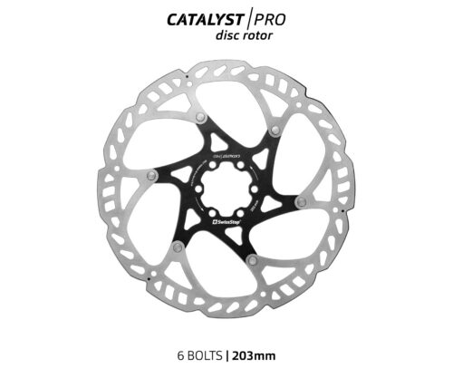 CatalystPro 6B 203 500x417 1