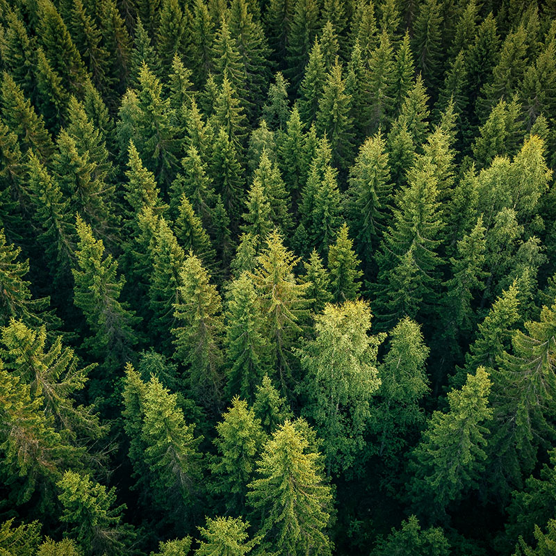 Sustainable Materials